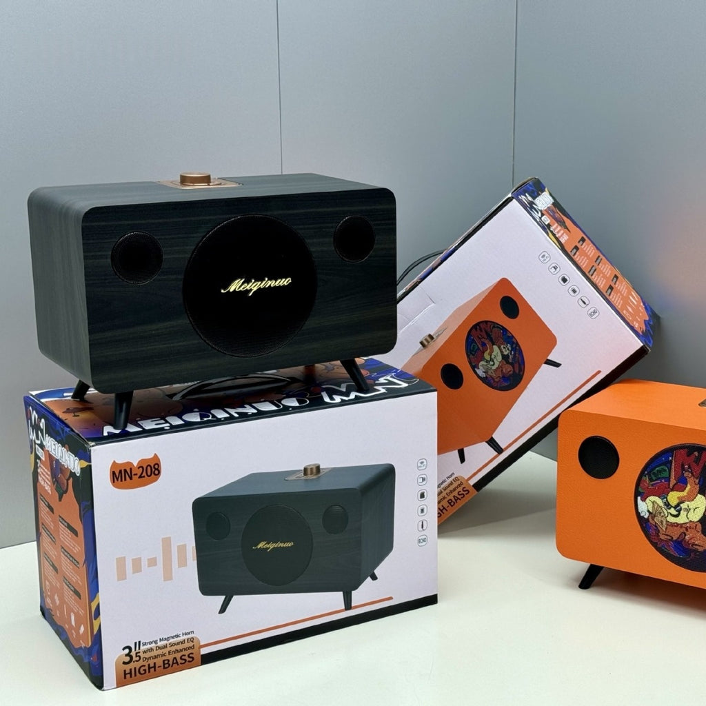 Haut-parleur Bluetooth portable extérieur