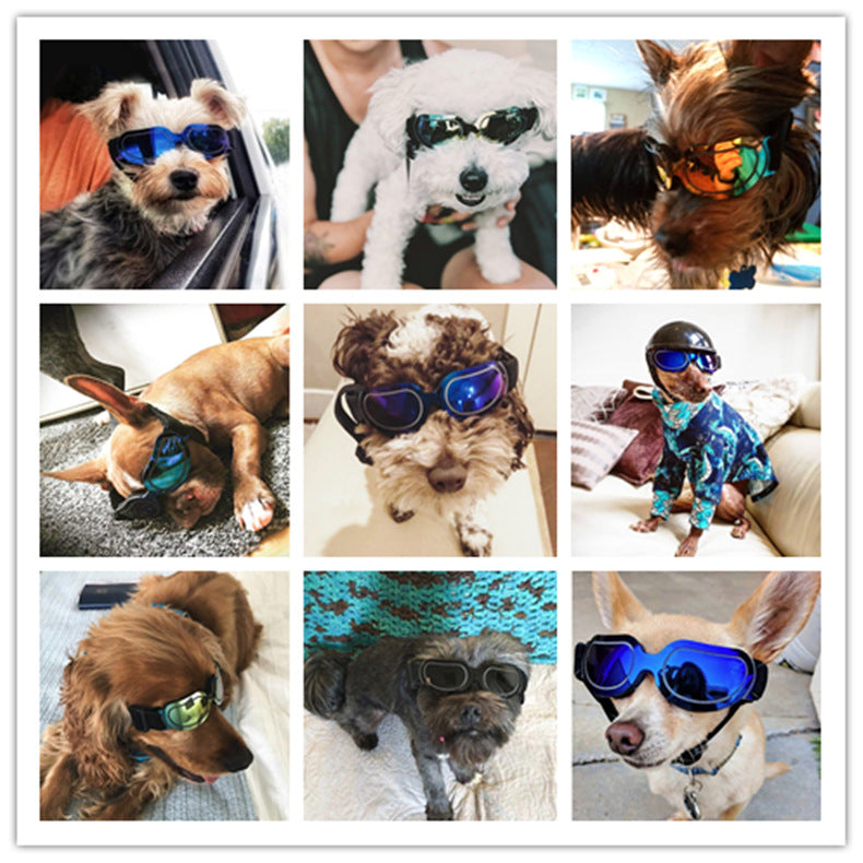 Animaux de compagnie fournitures colorés lunettes de chien lunettes Amazon