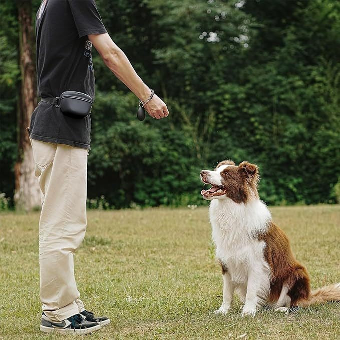 Sac d'entraînement pour chien portable en silicone