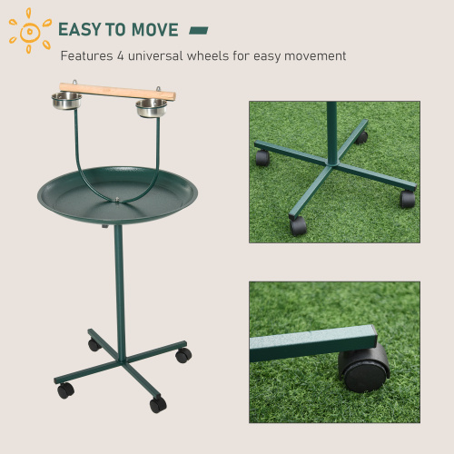 Rolling T-Bracket Bird Activité terrain de jeu avec Perch