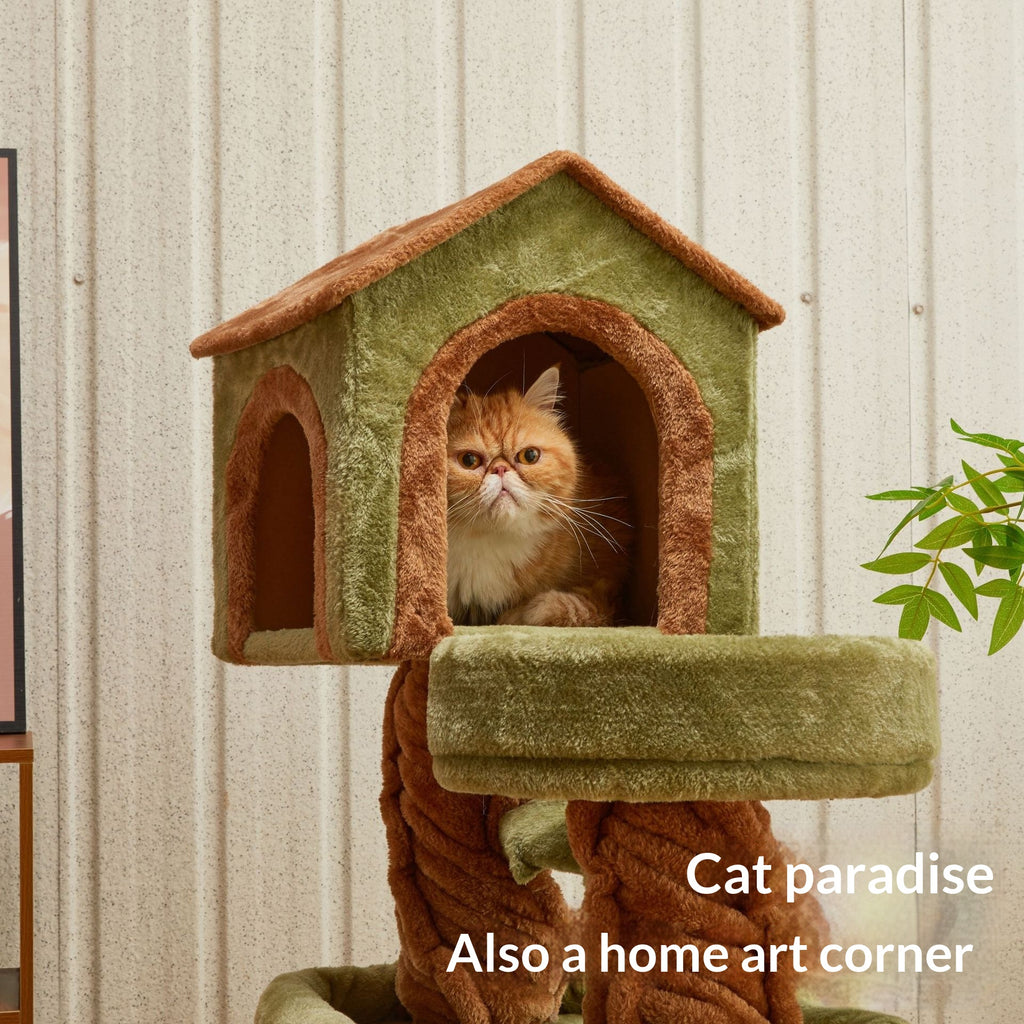 Maison des arbres de chat entièrement en un ciel