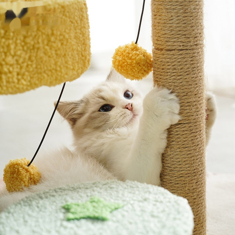 Cactus cadre d'escalade chat arbre chat jouet