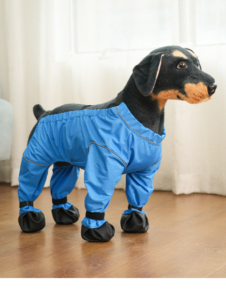 Pantalons anti-salissure de chien Couverture de chaussures de sortie