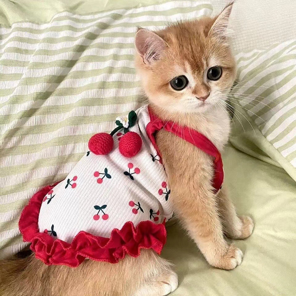 Veste d'harnais d'été mignon pour chiens