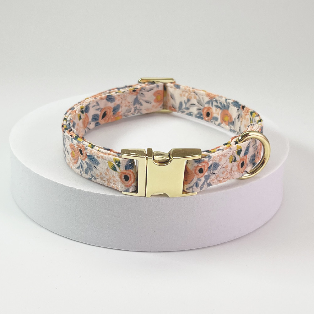 Collier gravé sur chien