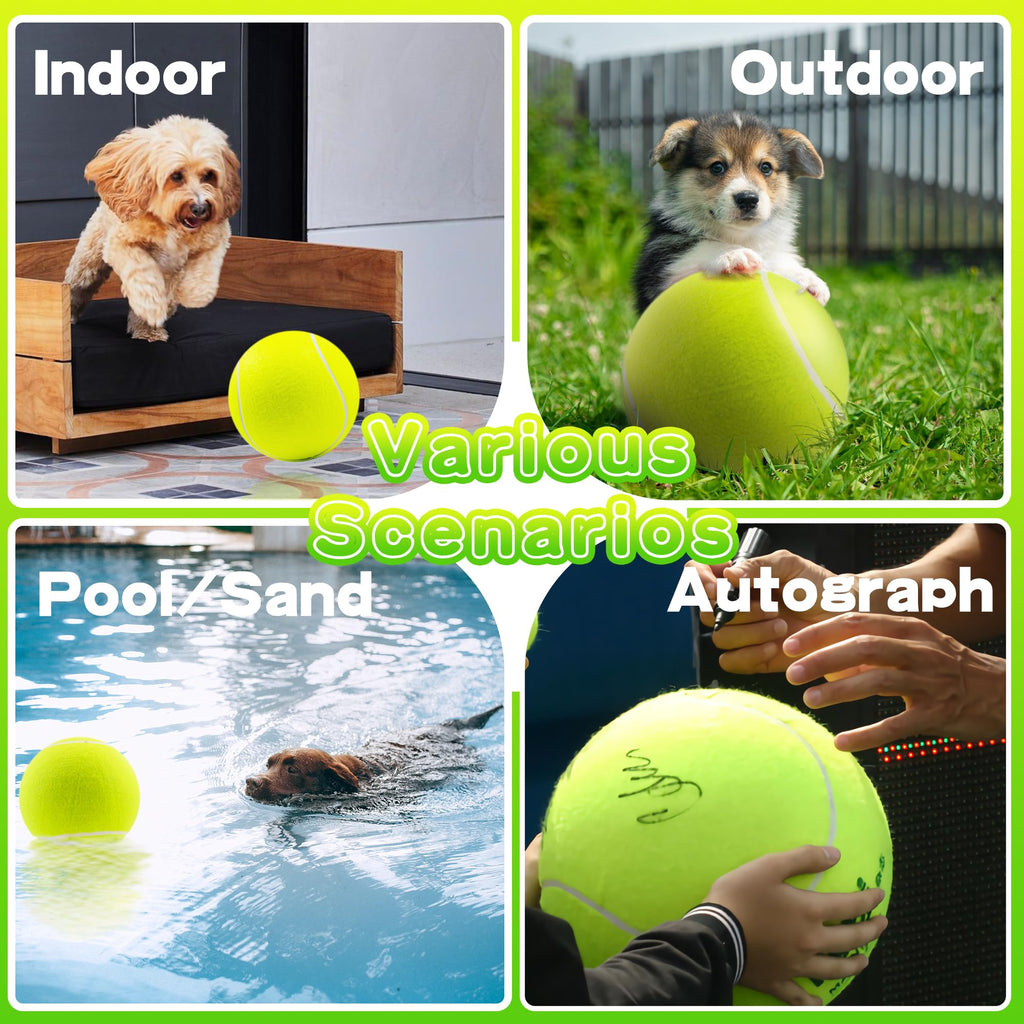 Balle de tennis pour chiens