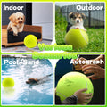 Balle de tennis pour chiens