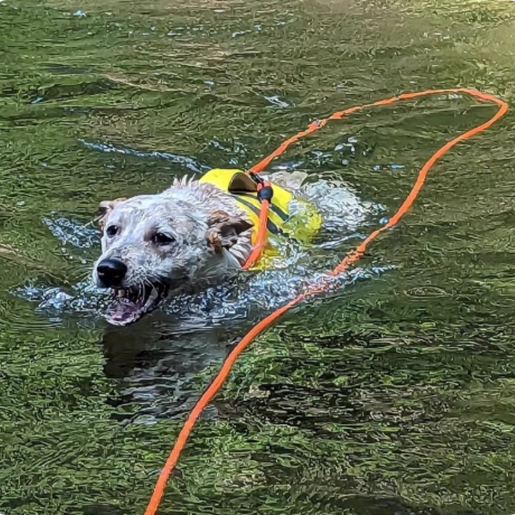 Feuille de chien supplémentaire longue pour la natation des animaux