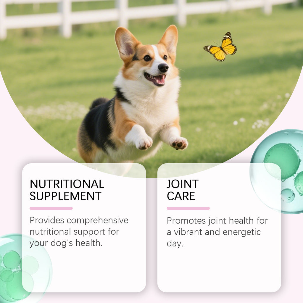 Kriath Pet Dog Nutrition gouttes formule légère pour la fourrure et soins de la peau aliments principaux avec supplemen