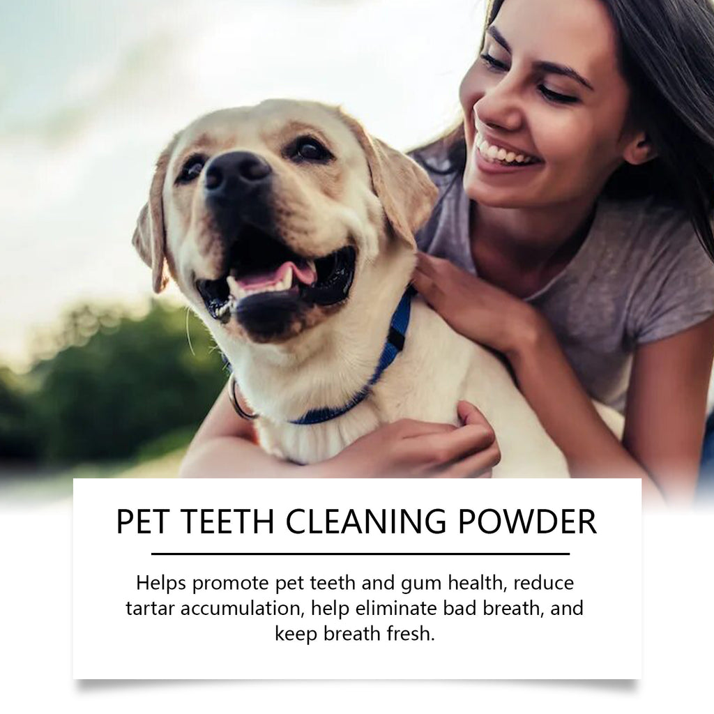 Poudre de nettoyage de dents de chien