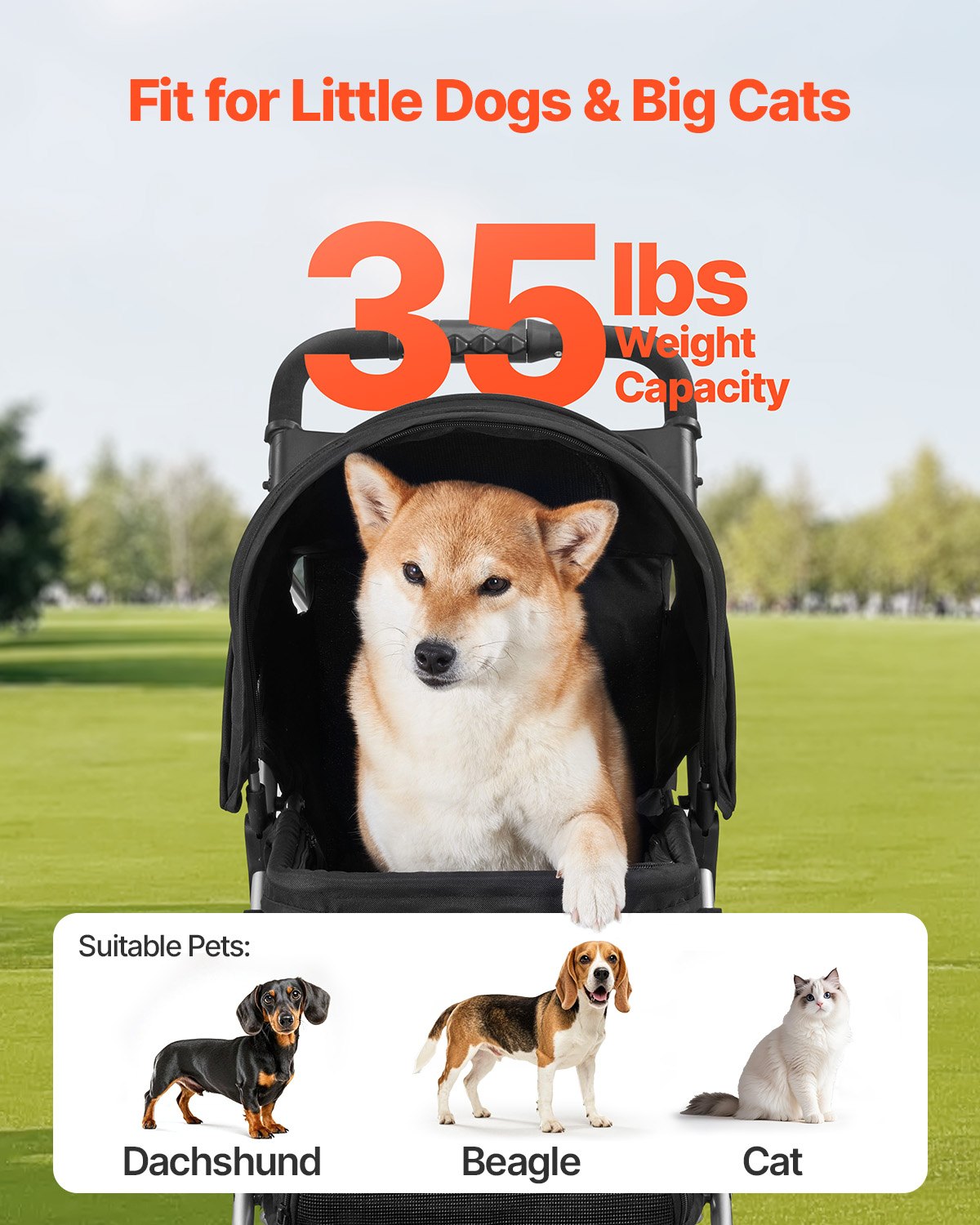 Poussette pour chien pliable 3 roues Poussette pour chien avec frein jusqu'à 35 livres Camp de voyage