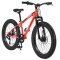 S24109 Élecony 24 pouces Fat Tire Bike Youth Full Shimano 7 vitesses VTT