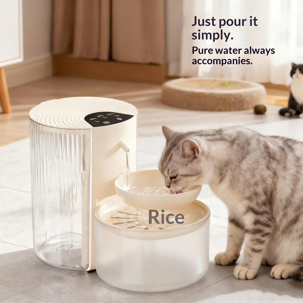 Smart Constante-Température 3L Fontaine d'eau pour animaux avec séparation de l'eau propre et rinçage Mec