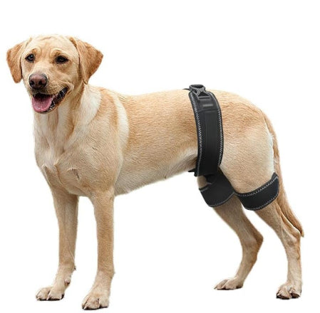 Pet Dog Hip Support Ceinture Orthèse Appareil