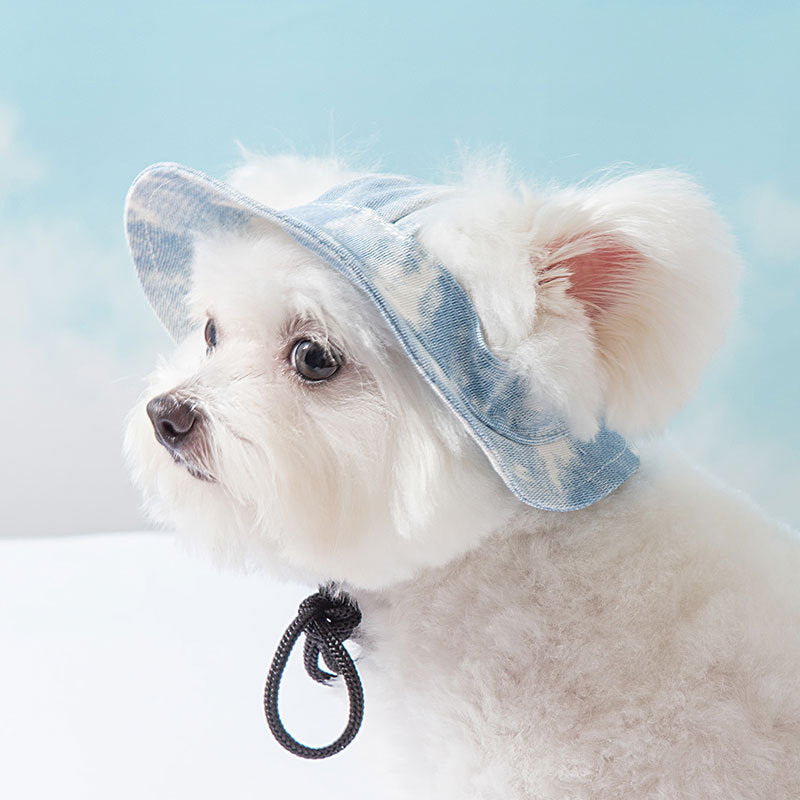 Chapeaux d'animaux avec trous d'oreille Chapeau réglable pour chiens puppy pour petits chiens moyens Pug Mascotas Ac