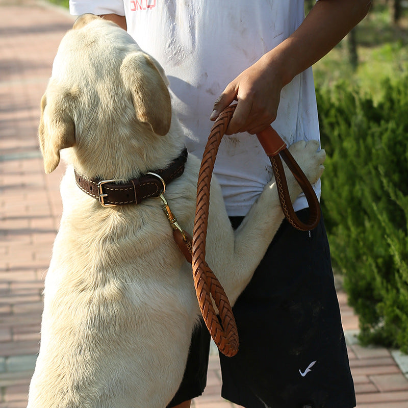Grande corde de traction tissée de chien avec corde ronde épaisse en cuir