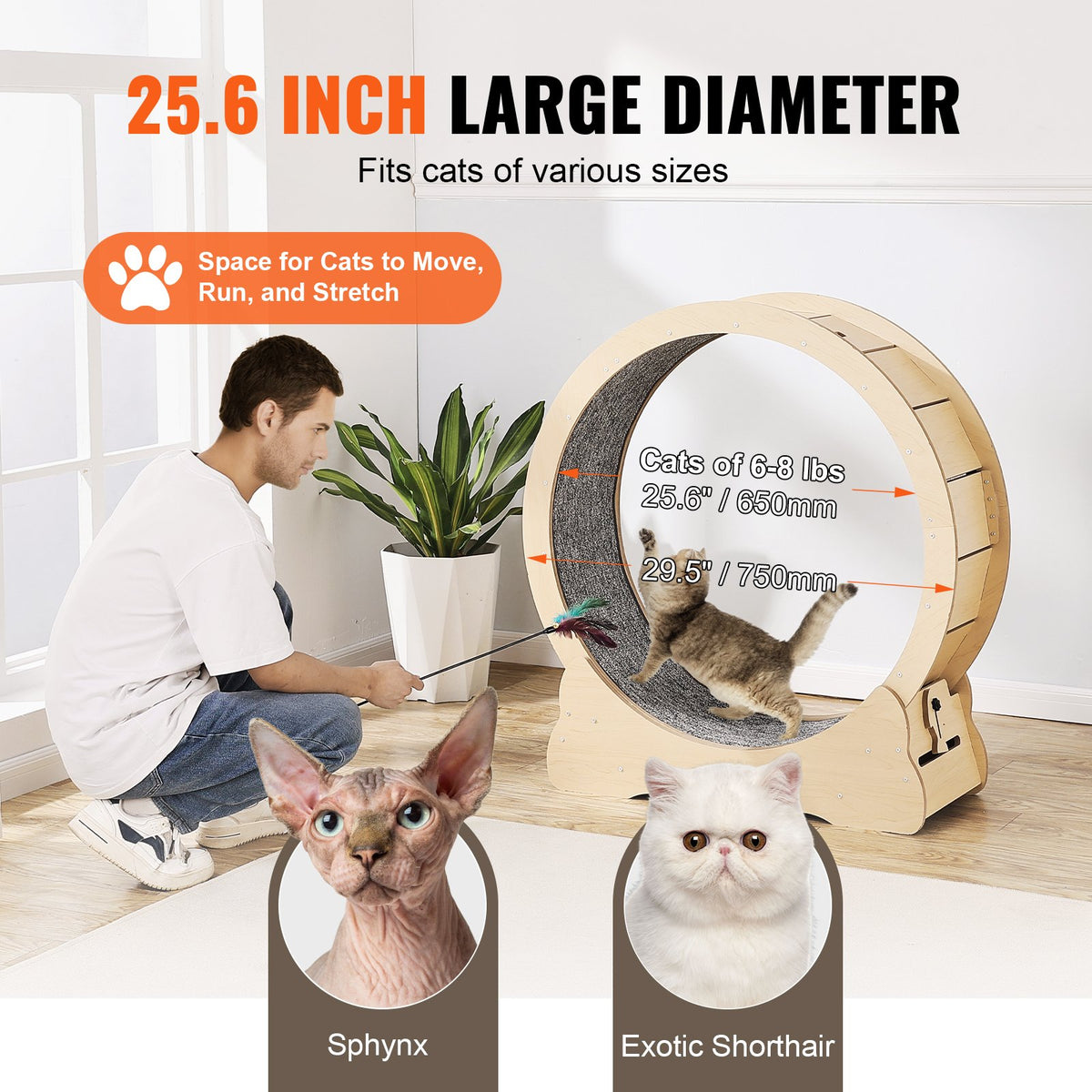 Cat Exercise Wheel Large Cat Treadmill Wheel for Indoor Cats 29.5 Inches