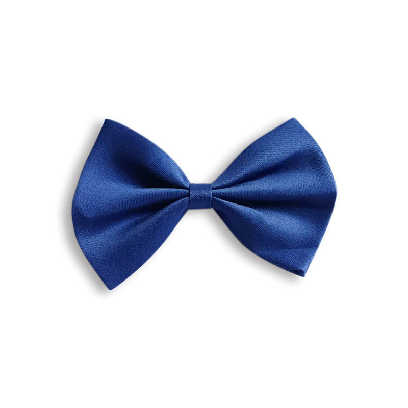 Collier pour animal de compagnie en couleur solide simple