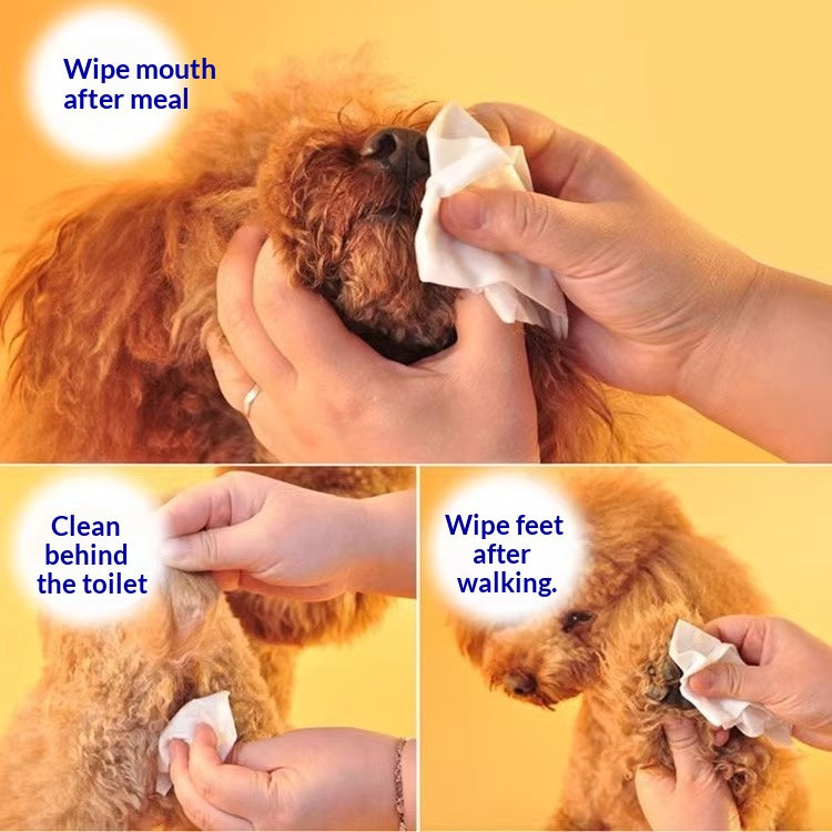 Essuie-glace pour chats et chiens