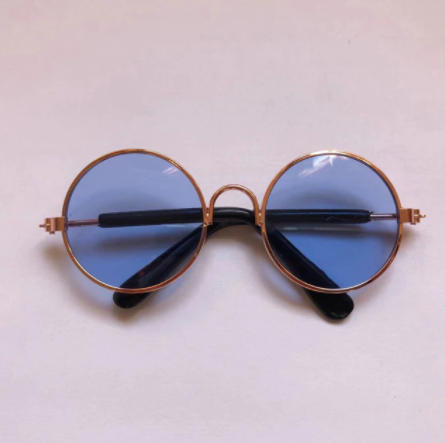 Lunettes de soleil pour chats