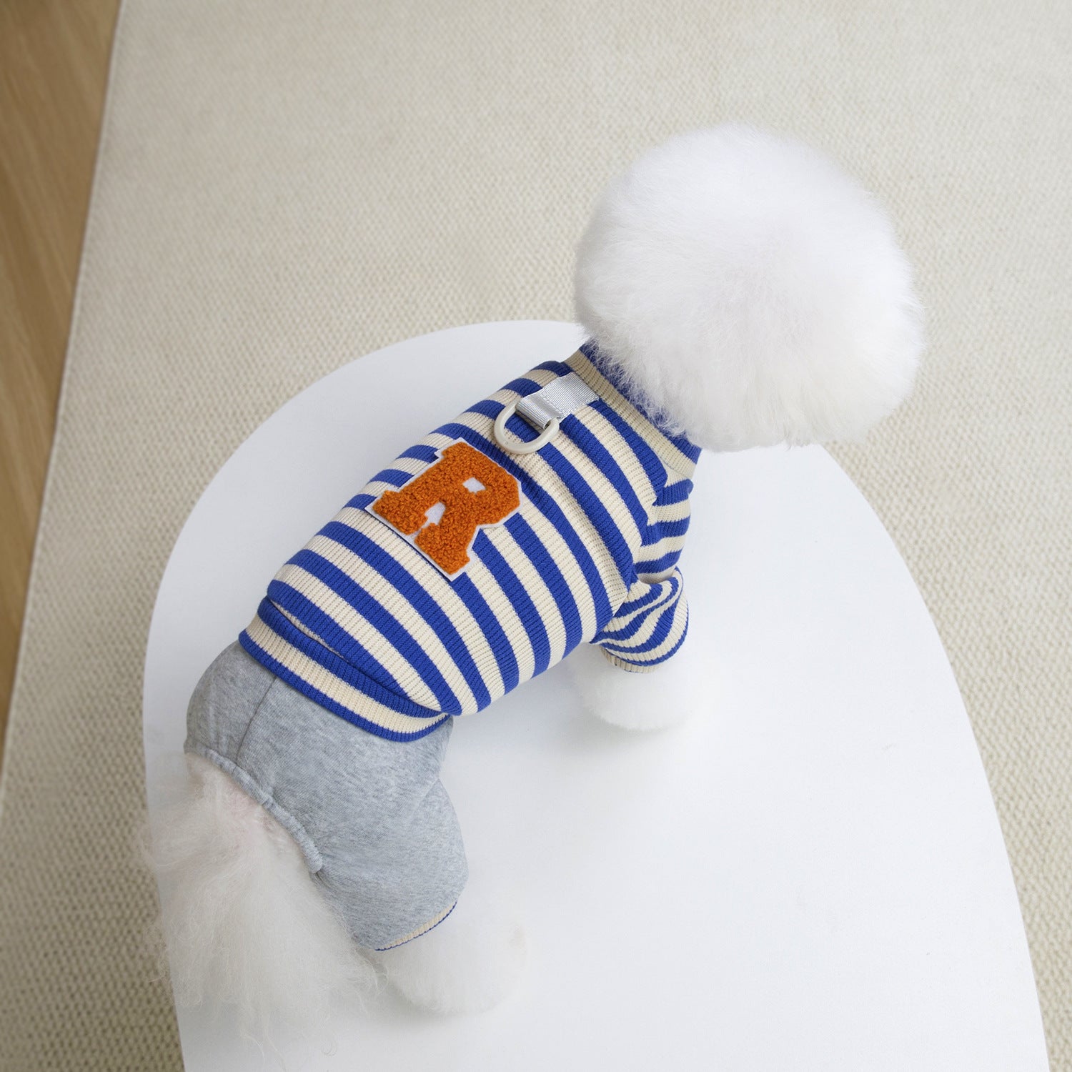 Hoodie chien avec vingt-cinq rayures Casual Style Set