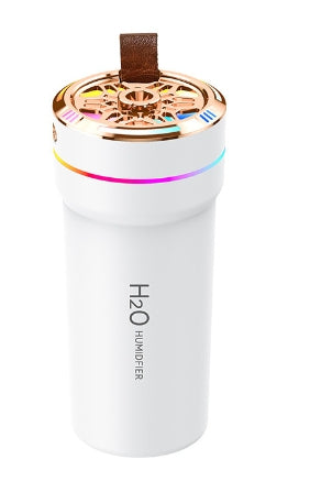Humidificateur de voiture Petit mini purificateur d'air Starry Sky Projection Ambiance Light
