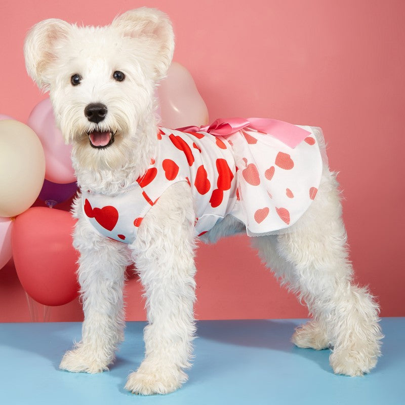 Animaux de compagnie Chat Saint-Valentin amour robe imprimée