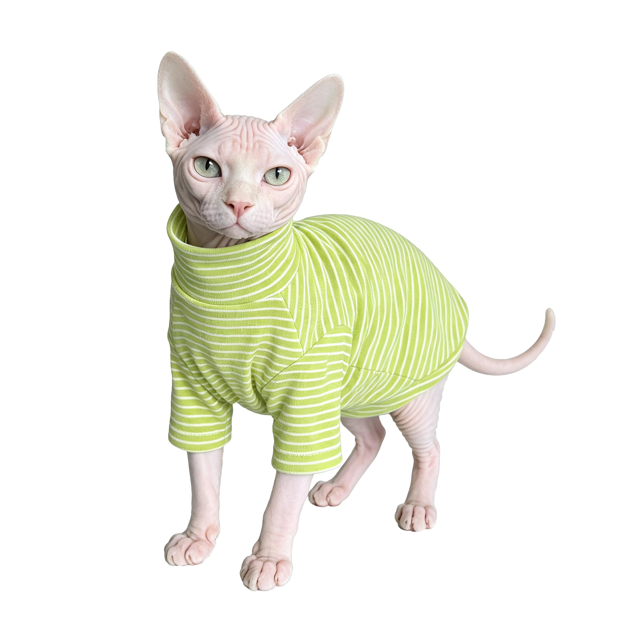 Vêtements de chat pour chats uniquement