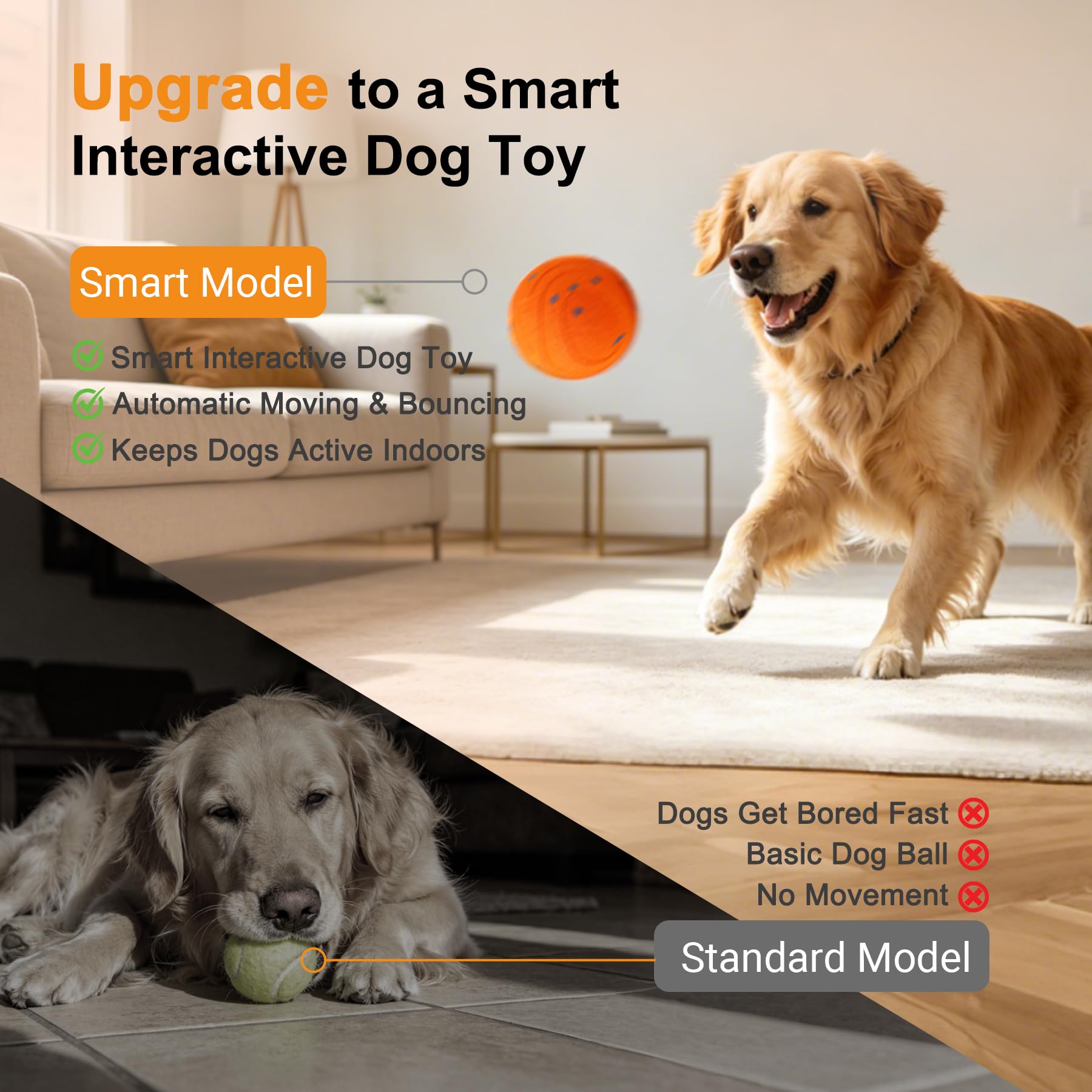 Balle de chien automatique interactive