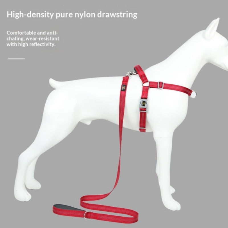 Fashionable Reflective Silk Webbing Pet laisse