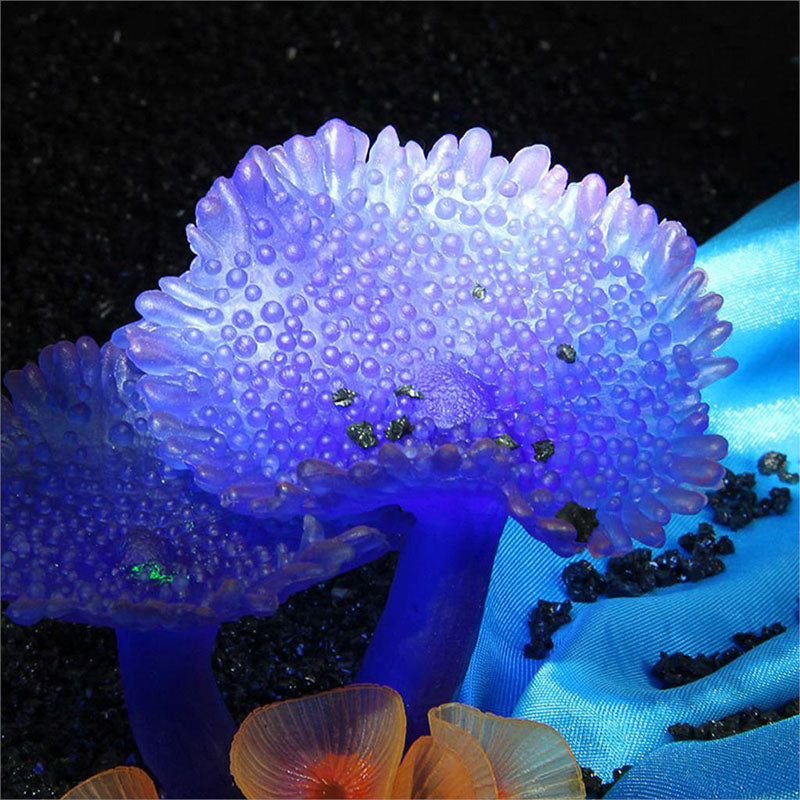 Simulation de plantes coralliennes