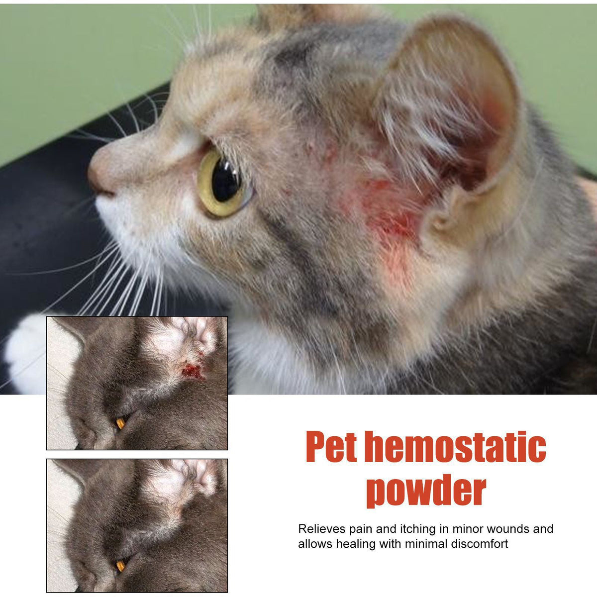 Yegbong Pet Poudre hémostatique Poudre de guérison de la plaie de chat et de chien