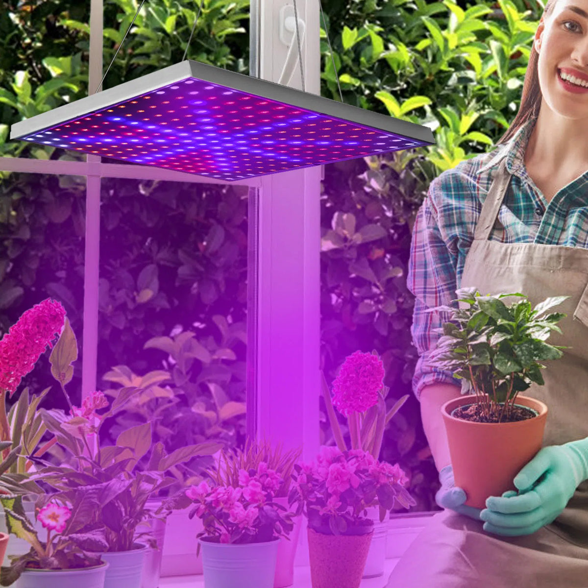 LED Grow lumière pleine spectre suspension 225 LEDs Plant Grow lampe intérieur Grow lumière pour Greenh