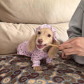 Pyjama et vêtements de chien sont minces