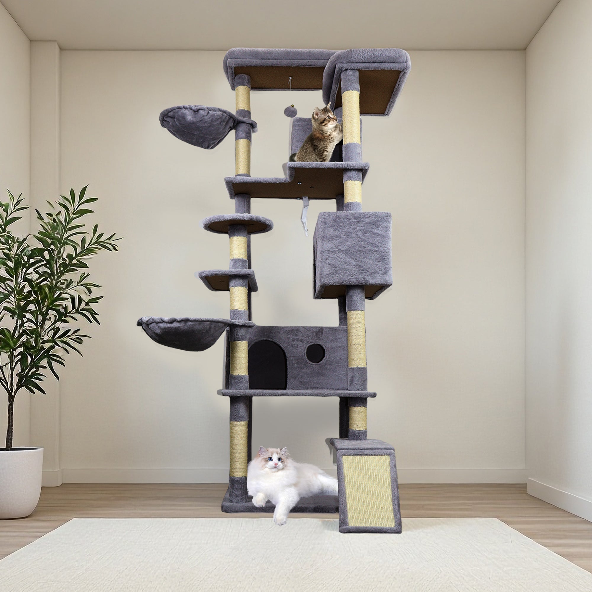84.6 dans la tour des arbres de chat gris foncé avec large base