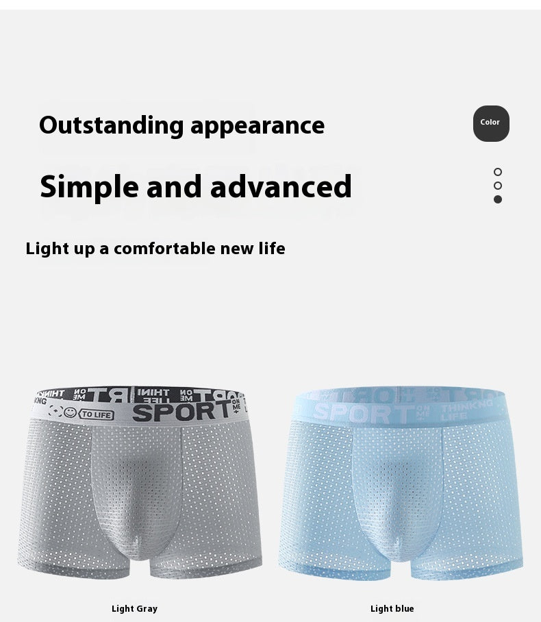 Sous-vêtements Hommes Ice Silk Mesh Boxers