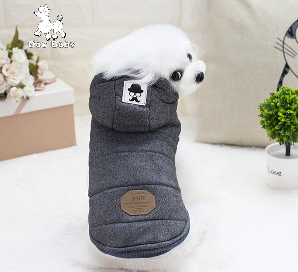 Vêtements Teddy pour animaux de compagnie Vêtements rembourrés en coton à deux pattes