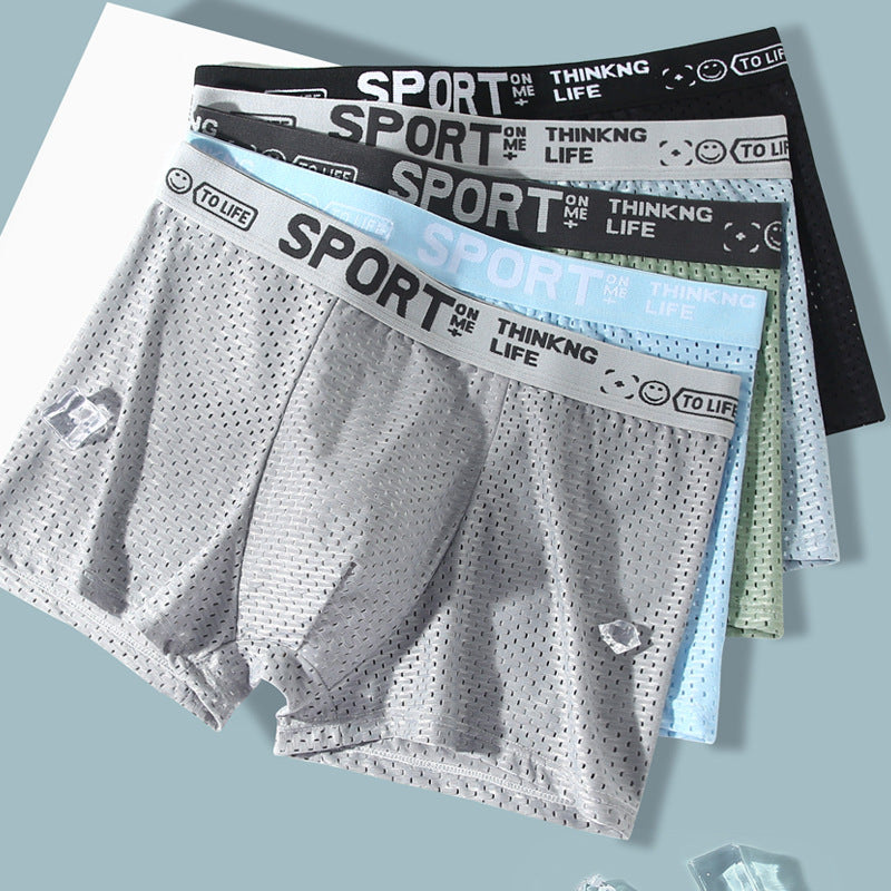 Sous-vêtements Hommes Ice Silk Mesh Boxers