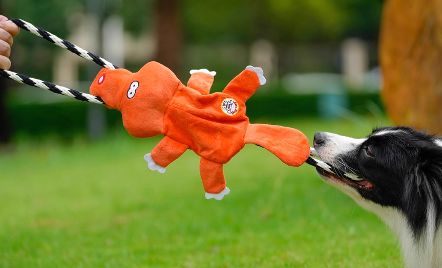 Jouets de son Molaire de chien moyen grand Bichon