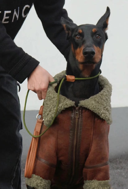 Manteau en cuir d'hiver Plus Velvet Pet pour grands chiens