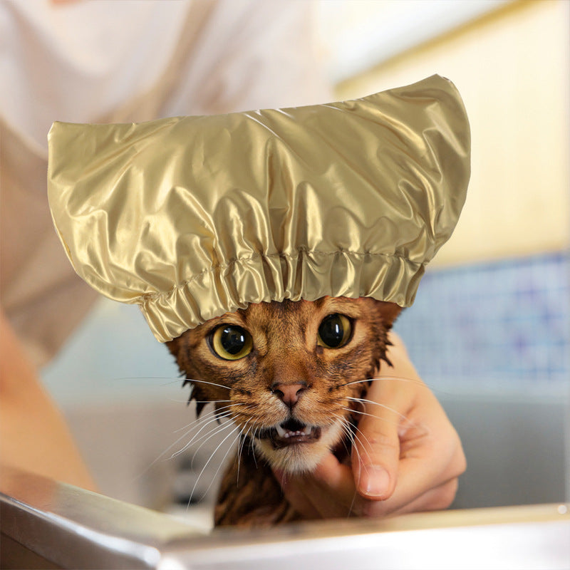 Animaux de compagnie Cat et chien réglable oreille étanche douche bouchon