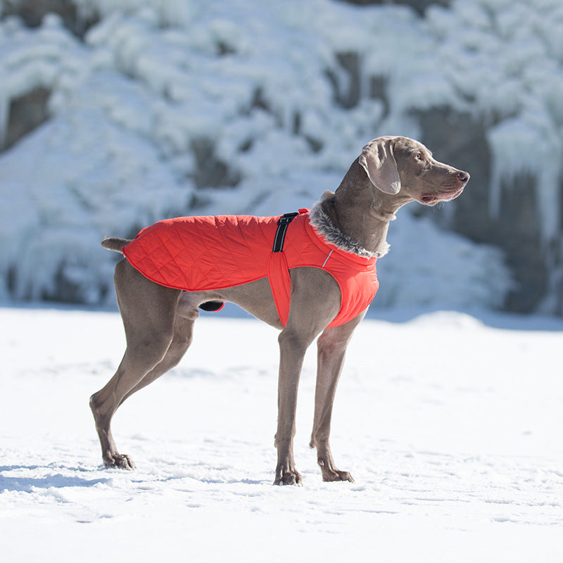 Vêtements pour animaux de compagnie Coton Coats Vente en gros