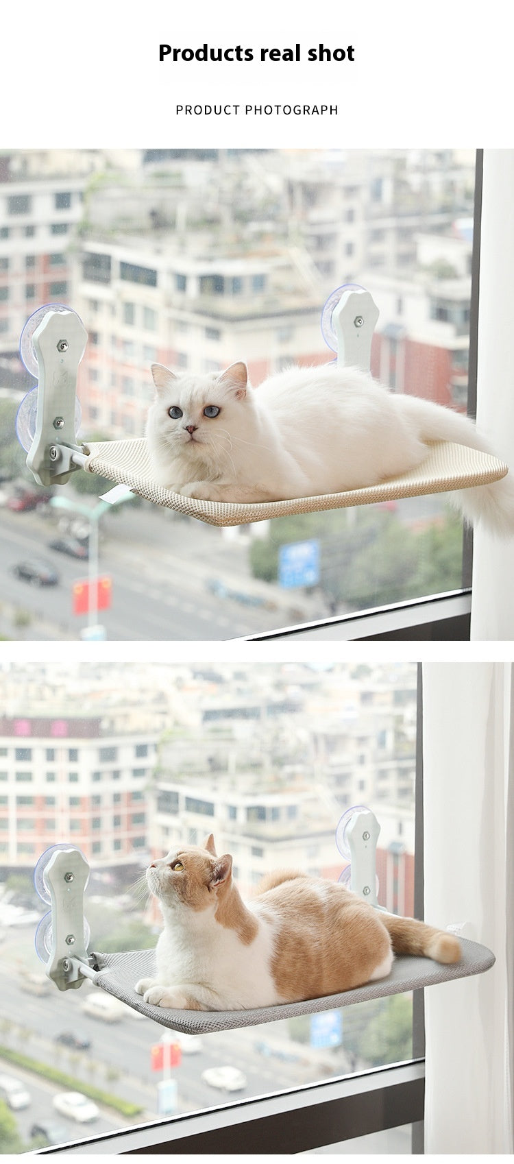 Animaux de compagnie Suction Cup Hamac amovible et lavable Nest de chat