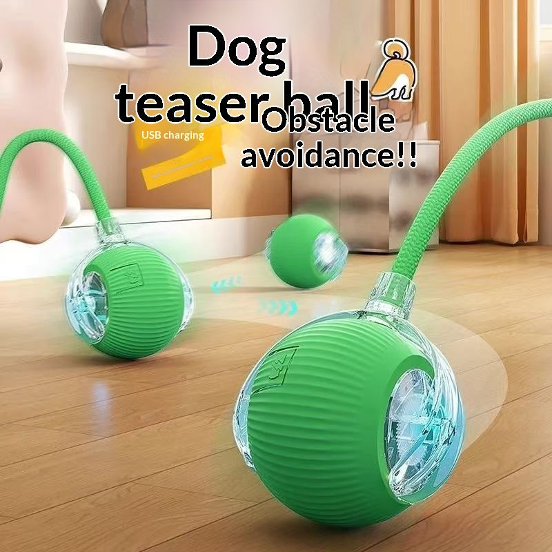 Auto-amusant Boredom-relief Gadget Pet Supplies Dog