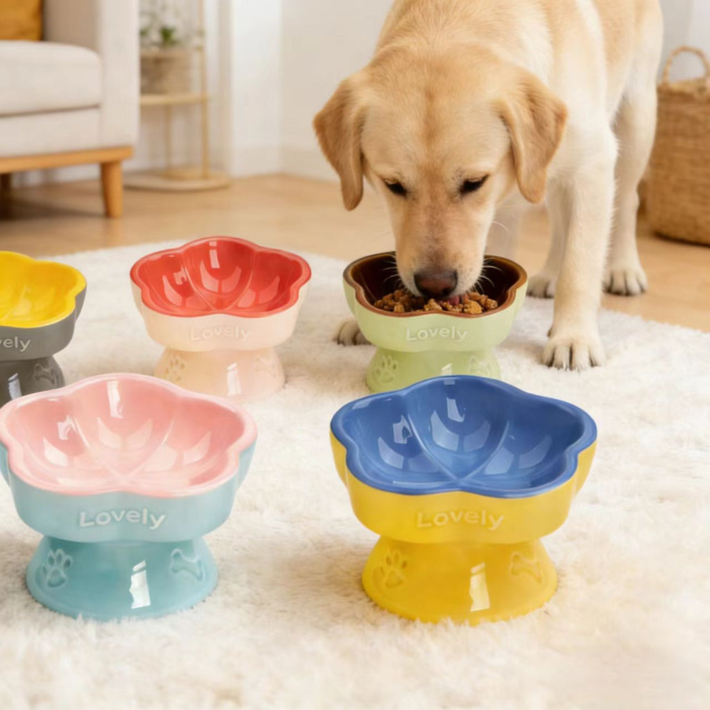 Céramique Élevé Pet Bowl pour chiens moyens à grands