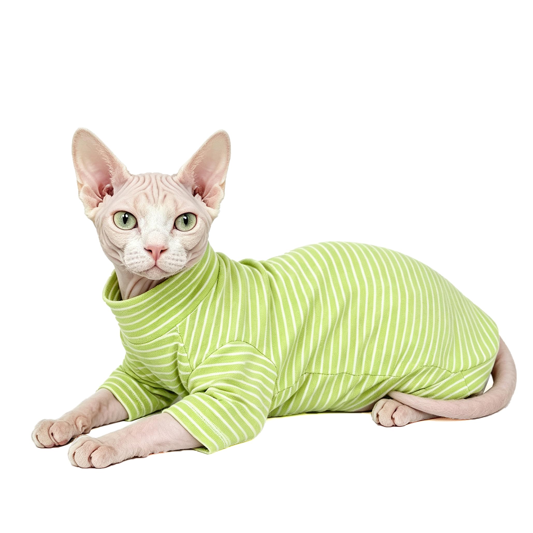 Vêtements de chat pour chats uniquement