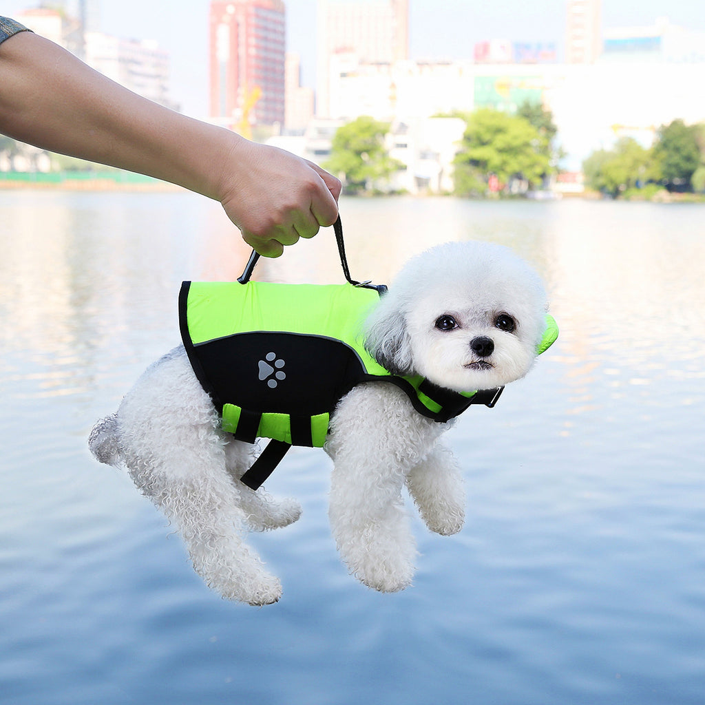 Suit d'entraînement de natation pour chiots d'été