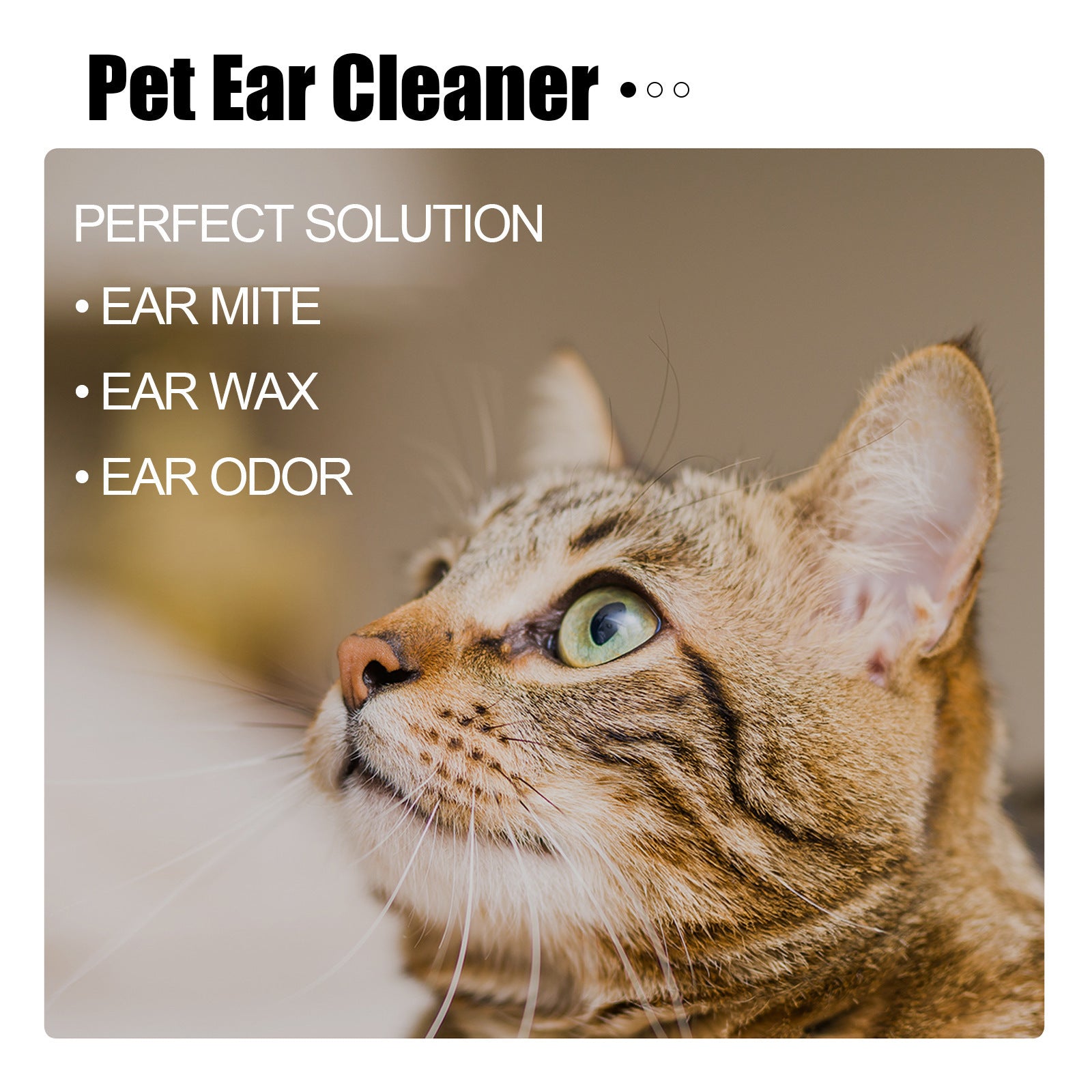 YEGBONG Les gouttes d'oreille d'un animal d'élevage soulagent le malaise de l'oreille chez les chats et les chiens