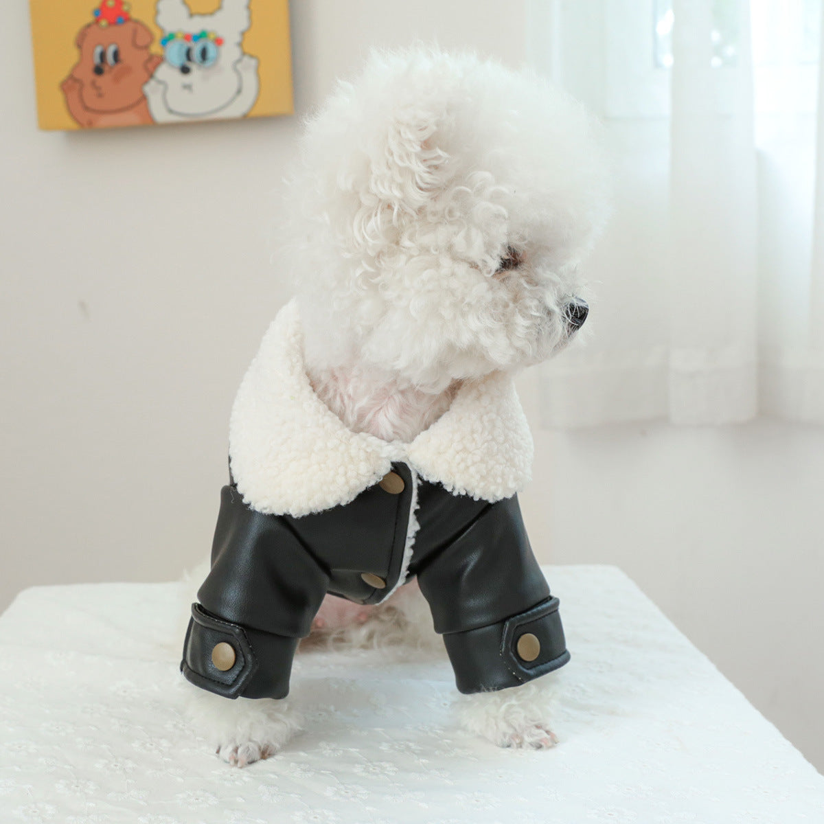 Vêtements pour animaux de compagnie