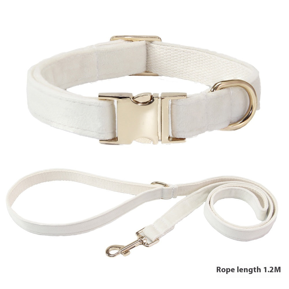 Collier de chien avec des lettres gravées
